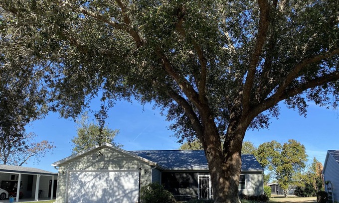 The Villages House | Beautiful 3/2 Dog-Friendly Golf Course Home w/ Pool & Close to EVERYTHING!