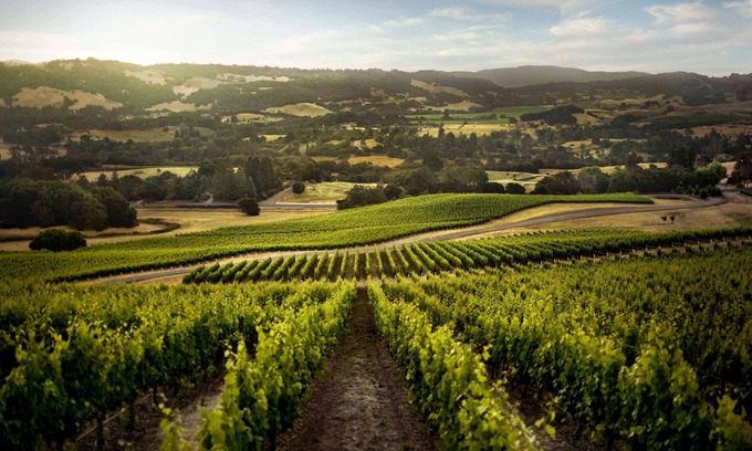 Santa Rosa House | Bennett Valley Eden | A Wine Country Escape