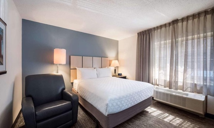 Plano Resort | Best Place to Stay in Texas! 4 Modern Units, Pet-friendly, Full Kitchen!