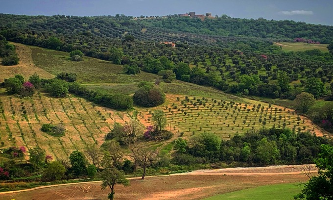 Magliano in Toscana Bed & Breakfast | Between the sea of Argentario, the thermal baths of Saturnia and the park of Maremma