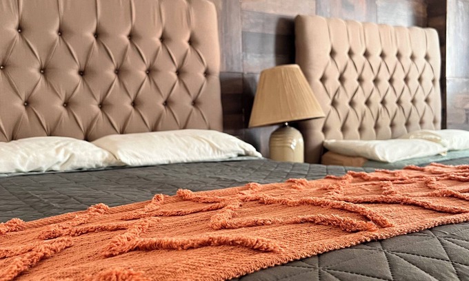 Centro Historico Hotel | BLACK TREE HOTEL BOUTIQUE