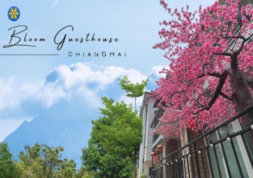 Chang Phueak Hotel | Bloom Guesthouse