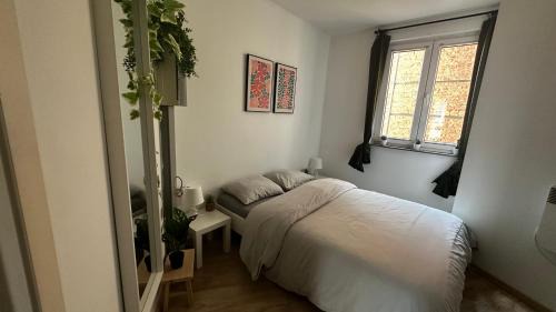 Brederode Apartment | Brederode Suites 207