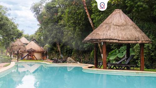 Puerto Morelos Apartment | Bright Apt with Pool & jungle Puerto Morelos