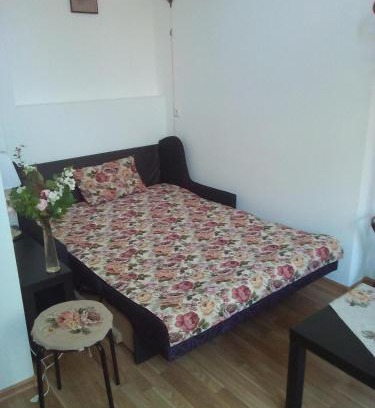 Liepaja Apartment | Brown Amber