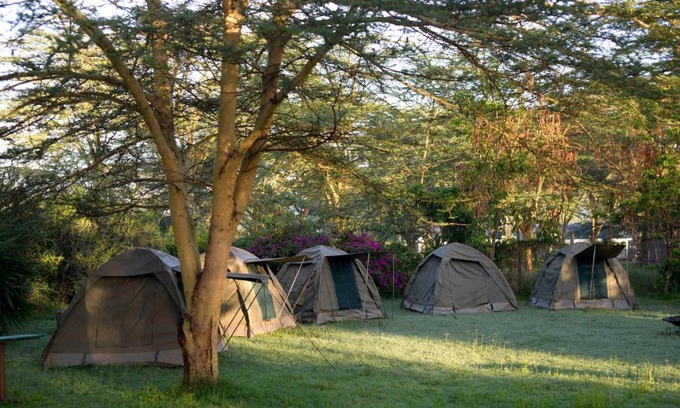 Naivasha Other | Burch's Resort Naivasha Camping