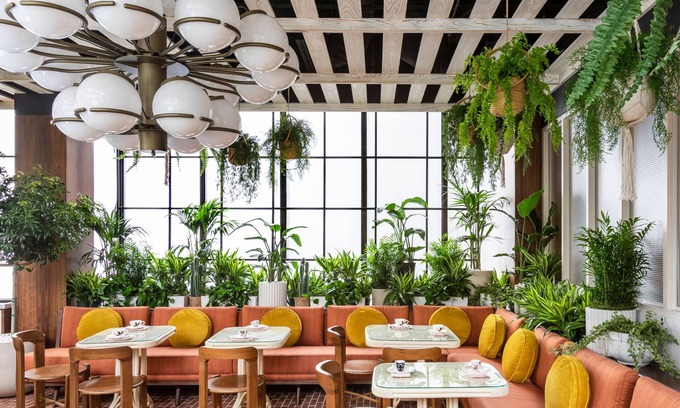 Downtown Houston Hotel | C. Baldwin, Curio Collection by Hilton