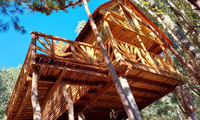San Jose del Pacifico Ski Chalet | Cabaña en el Bosque de San José del Pacífico 4