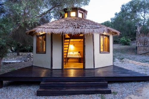 Bolonia Other | Cabaña Sudafrica