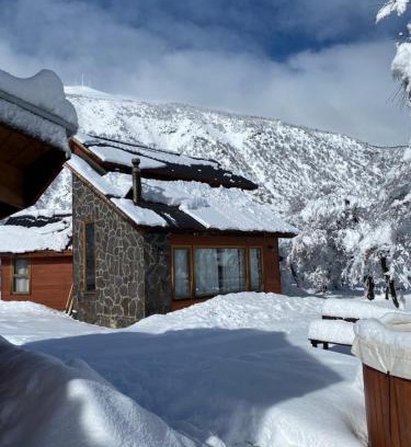 Pinto Cabin | Cabañas Alto Cordillera