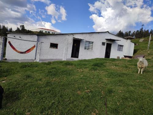 Guatavita House | Cabañas Casa Campo Guatavita