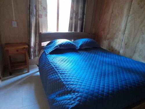 Melipeuco House | Cabañas Nehuen Coyan
