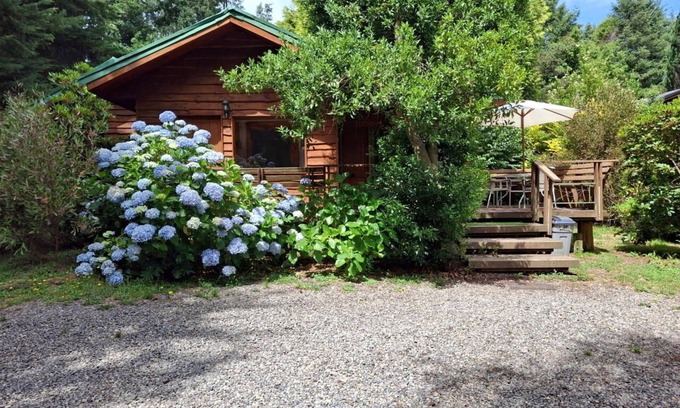 Villarrica Cabin | cabañasmapulauquen