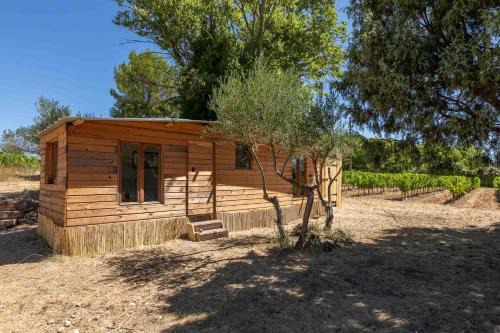 Cotignac House | cabane des vignes