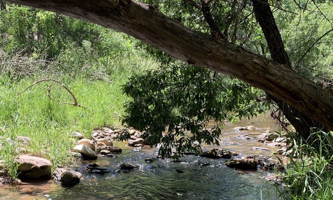 Kohls Ranch House | Cabin overlooking Tonto Creek across from Tonto National Forest