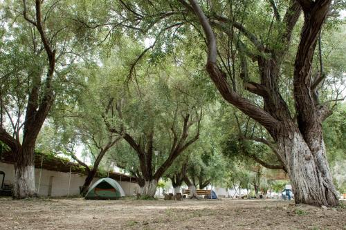 Paros Other | Camping Koula
