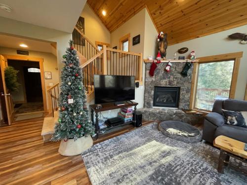 McHenry House | Canopy Escape