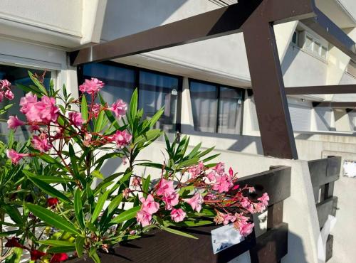 Naturist Village Apartment | Cap d'Agde Naturist Exclusive Studio
