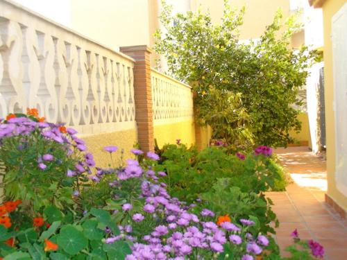 Oliva House | Casa a 85 metros playa 158 m dorm WIFI AA