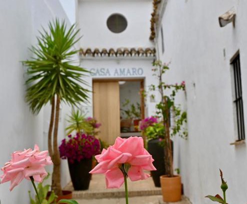 San Ambrosio Apartment | CASA AMARO
