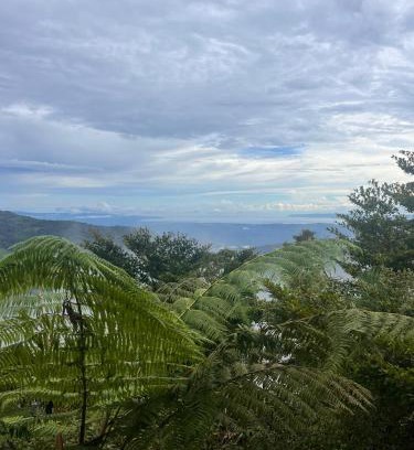 Quebrada La Gamba House | Casa Bromelia