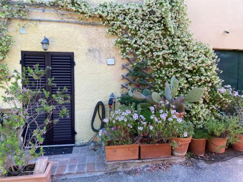 Poderi House | Casa del sole