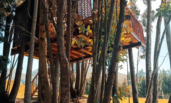 Guatavita Other | Casa en el Árbol Guatavita