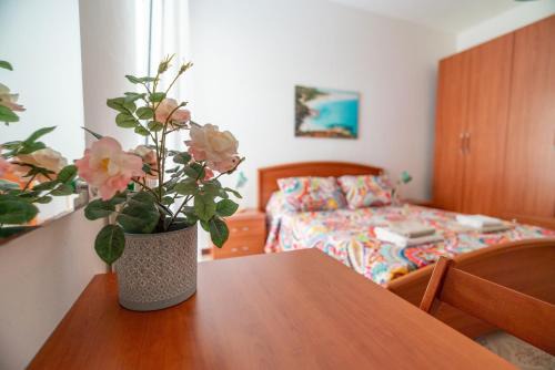 Pivarada House | Casa Hana