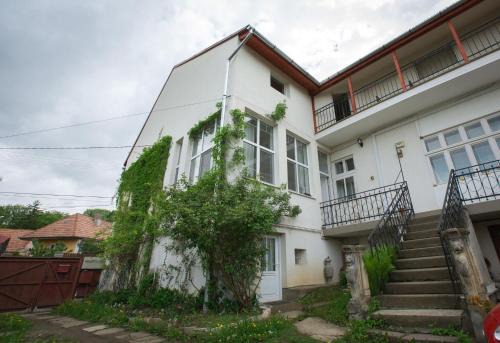 Odorheiu Secuiesc House | Casa Júlia