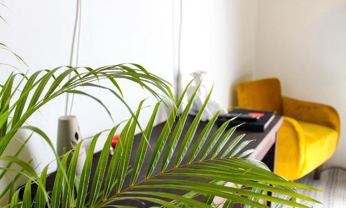 Ocosingo Hotel | Casa LOBE