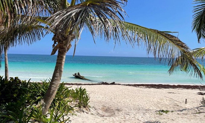 Zona Hotelera Hotel | Casa Phoenix Tulum