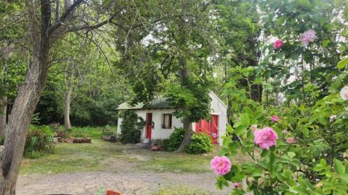 Trelew House | Casa rural junto al Río Chubut (Ty'r Bont) Trelew