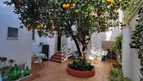 Maruggio Apartment | Casa Sofia: comodi e tranquilli