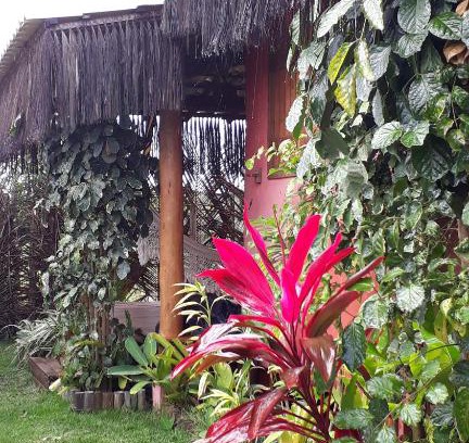 Barra Grande Cabin | Casas Belas de Taipu