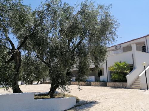 Chiesiola House | Case vacanze Villa Elisa