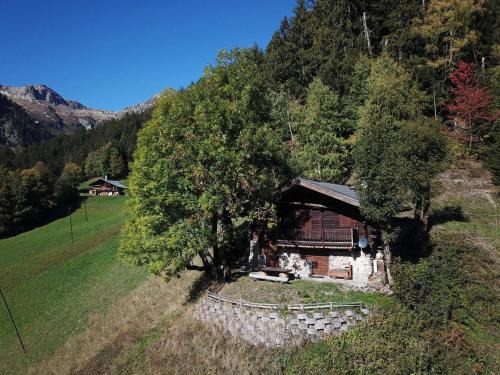 Beaufort Ski Chalet | Chalet 3 pièces, 6 pers, 2 km des pistes, plein sud, internet - FR-1-342-158