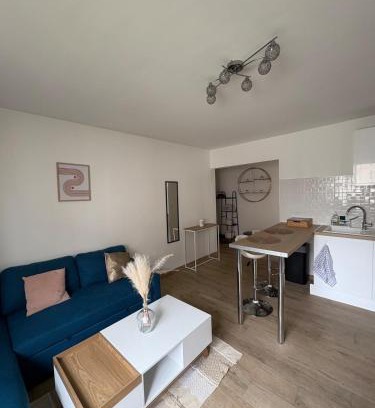 Santy - La Plaine Apartment | Charmant T2 rénové