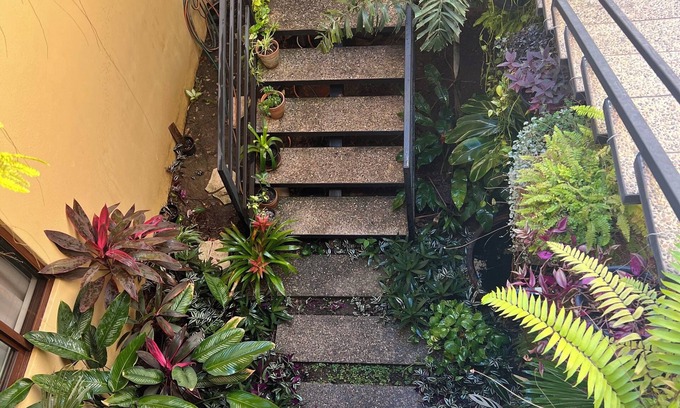 Lo de Marcos Hotel | Charming Bambu Room in Casa Botanica