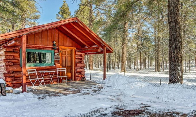 Parks House | Charming & Historical 1 Room Log Cabin /Forest Views/20 Minutes from Flagstaff