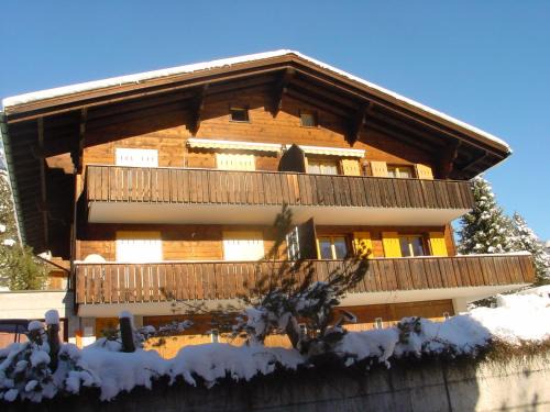 Grindelwald Apartment | Chrinnengletscher