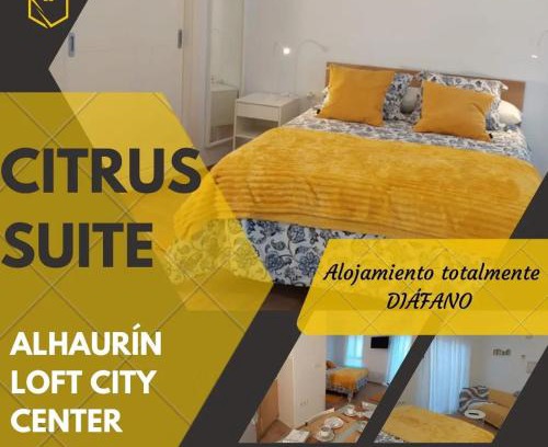 Alhaurin de la Torre Apartment | Citrus Suite by Alhaurín Loft City Center