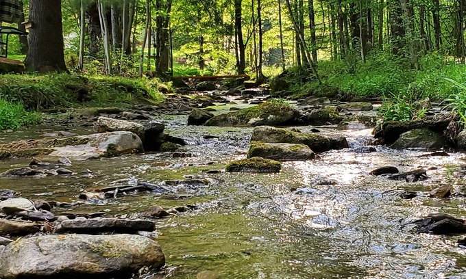 Allegany Cabin | Come and enjoy some peace and quiet at the Pumpkin hollow Inn