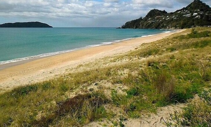 Tairua Cottage | COSY AND CHIC ON OCEAN BEACH - TAIRUA HOLIDAY HOME in Tairua