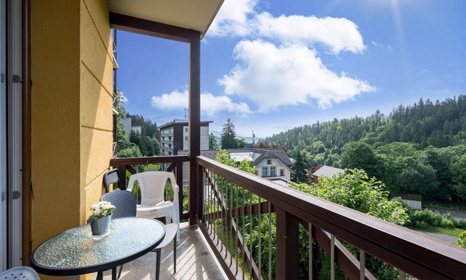 Janske Lazne Apartment | Cosy apartment for 4 guests with WIFI, TV, balcony and pets allowed