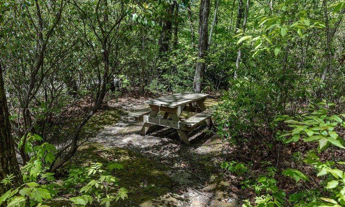 Lake Toxaway Cabin | Cozy Cabin w/Pickleball and Tennis On Site