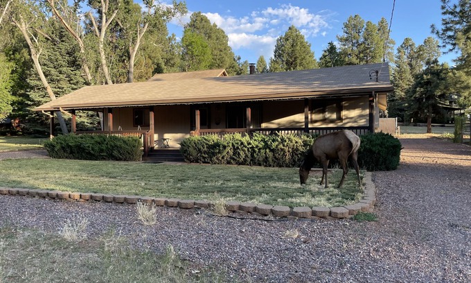 Strawberry House | Cozy, Clean and Comfortable House in the Pines. Feels like Grandma's House!