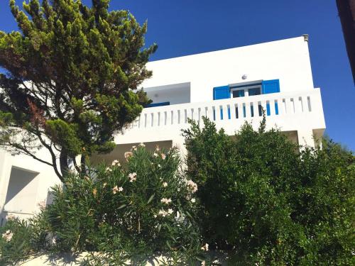 Paleopolis Apartment | Cozy & comfy Apt with Sea View in Chora Andros