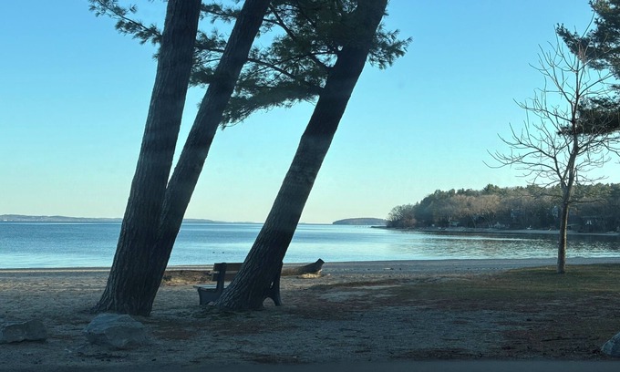 Traverse City House | Cozy cottage in the heart of Traverse City. Short walk to beach and downtown!