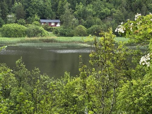 Hallevadsholm House | Cozy wilderness cabin at Kynnefjäll close to lake SE09081