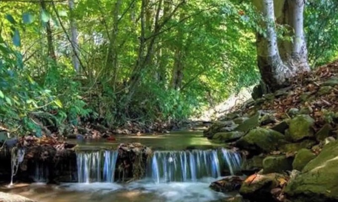 Burnsville House | Creekside home with hot tub within 30 mins to Asheville